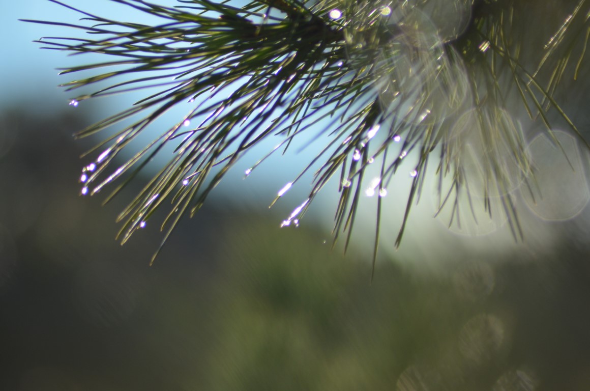 No s'ha trobat l'arxiu