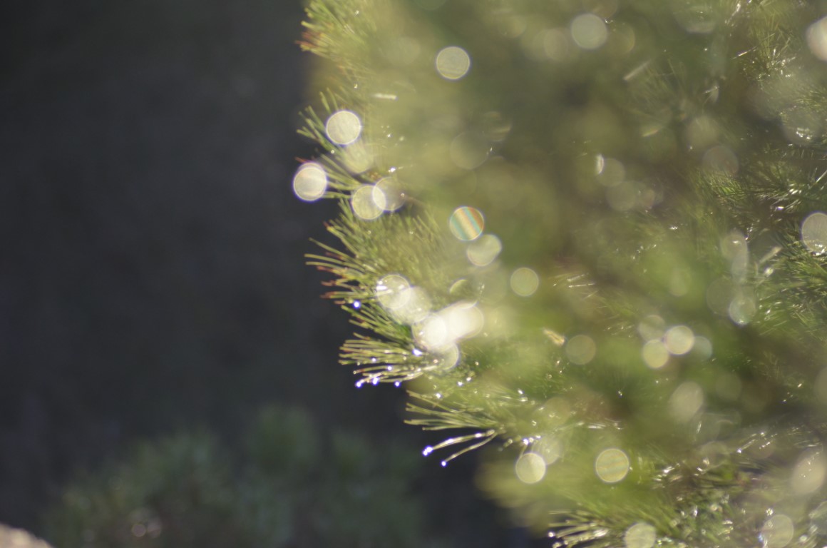 No s'ha trobat l'arxiu